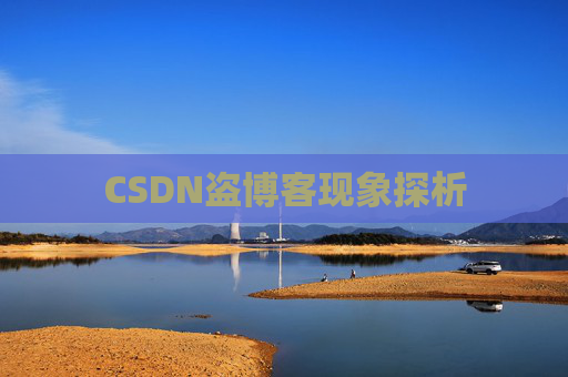 CSDN盗博客现象探析